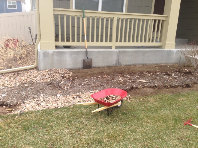 I never remember to take a "before" shot, so this is a "oops I better get a shot of this before its all different"