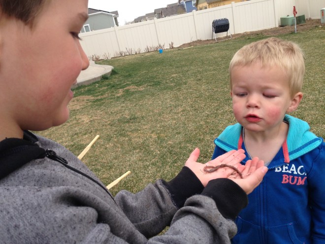 Nothing like two boys and a worm...we won't mention how much the little one cried when we put the worm back in the ground....