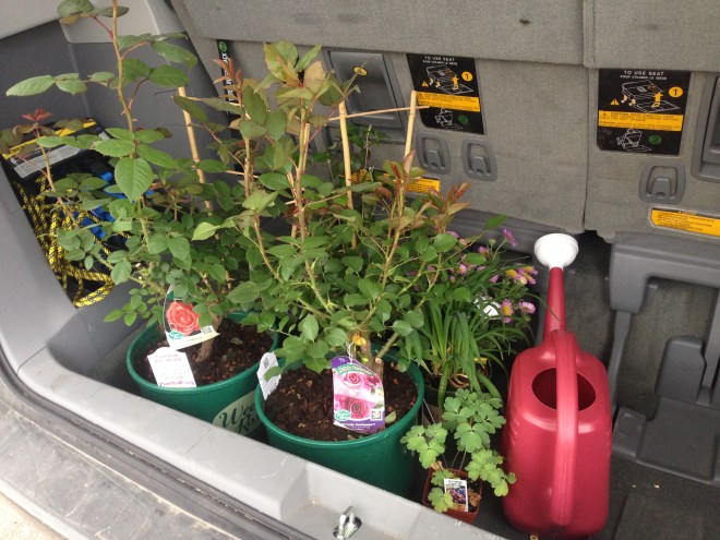 I still had plenty of room to add more...