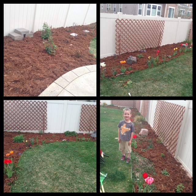 The backyard flower beds and rose garden
