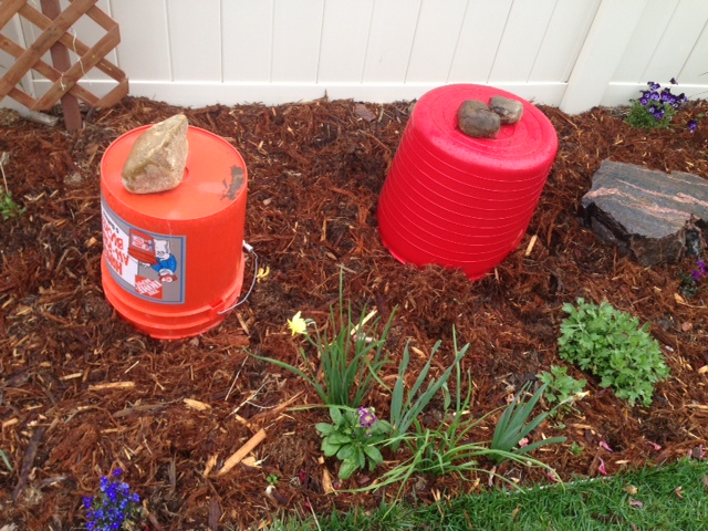 Bring on the snow (or please maybe not?)