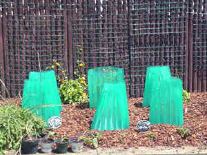 Walls of Water (image borrowed from google)