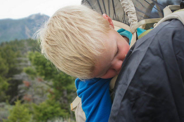 How Caedmon prefers to hike, sound asleep