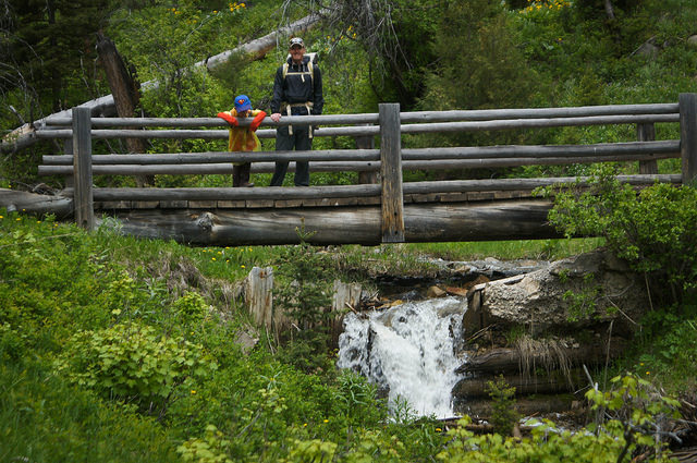 14548282609_dd1c3233fe_z