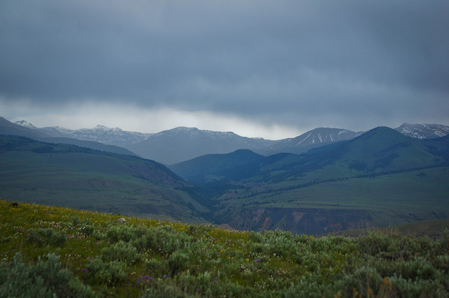 14548300330_763ba2e420_z