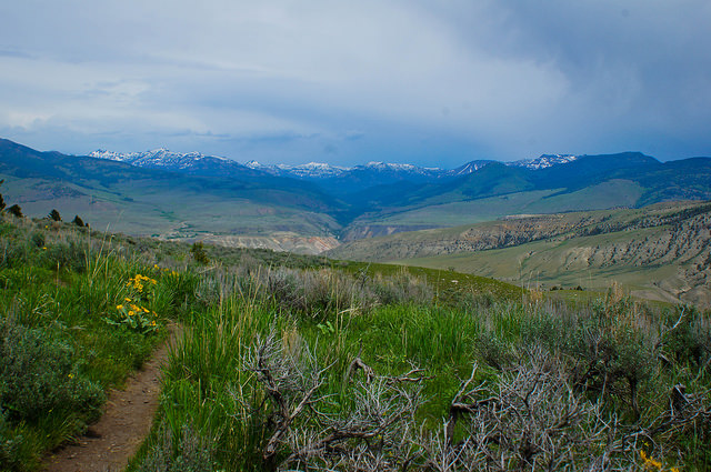 14548316099_01bc17e5bc_z