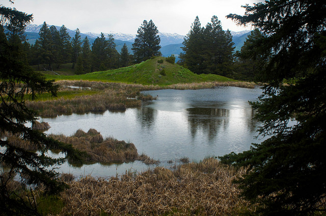 14548337879_6a4c5e1c23_z