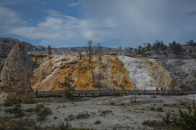 14548402557_ddbcc7b4c9_z