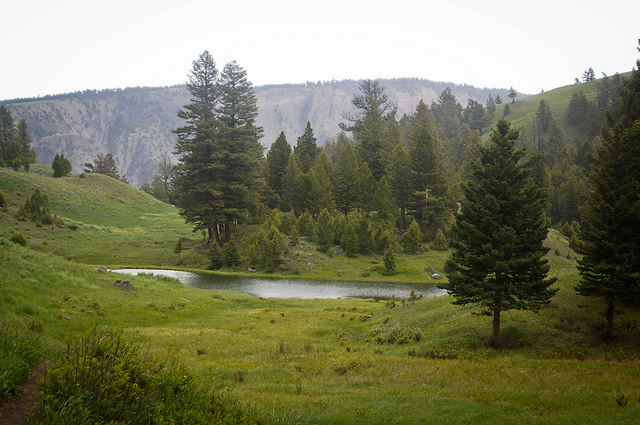 14731794201_b8081a3cd8_z