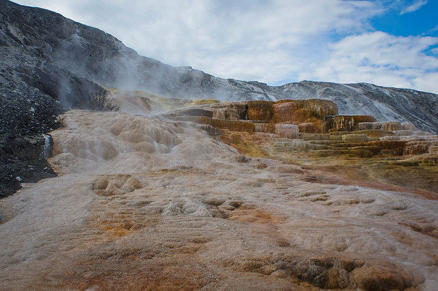 14734862225_47551b072b_z