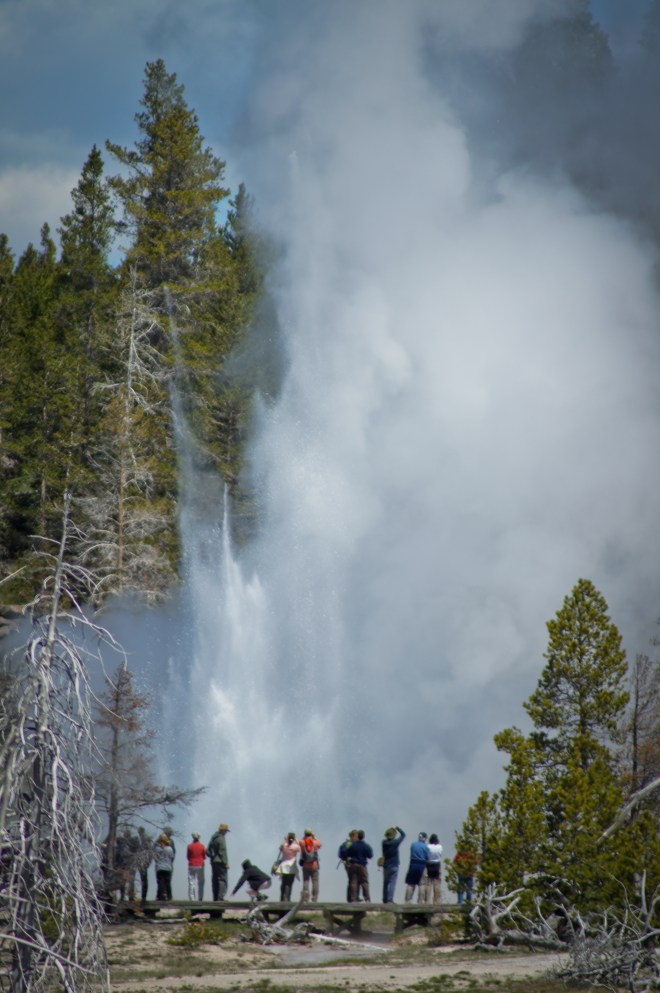 Grand Geyser taking off up the hill
