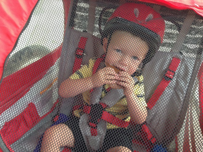 Settled in the Bike Trailer