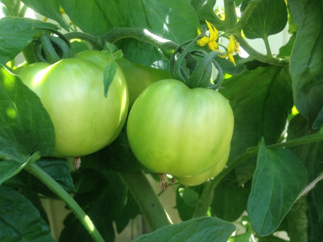 Still have a ways to go