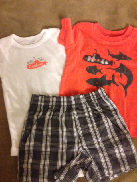 photo 2 (2)