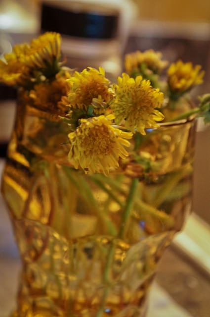 The "flowers" the boys picked me.