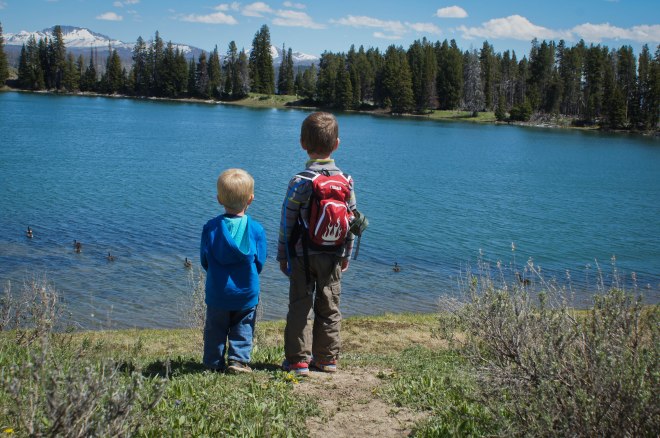 watching the baby ducks on the hike