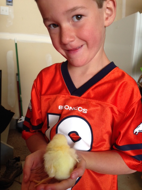 Leighton holding Korea