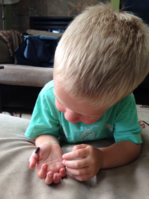 "Please don't smash him on mommy's couch"