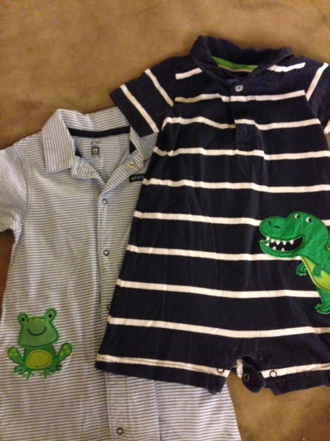 Alligator and Frog