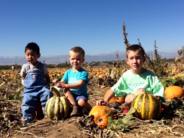 Trip to the pumpkin patch, I have no idea why no one is smiling, we had a great day