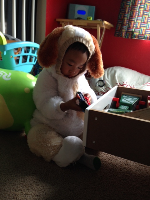 And sometimes you just need to wear a dog costume and play with trains.