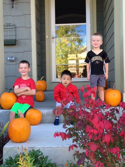 pumpkins from our garden