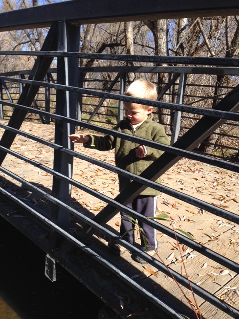 Throwing rocks off the bridge
