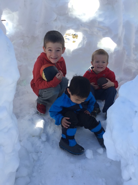 One of three actually looking at the camera...status quo