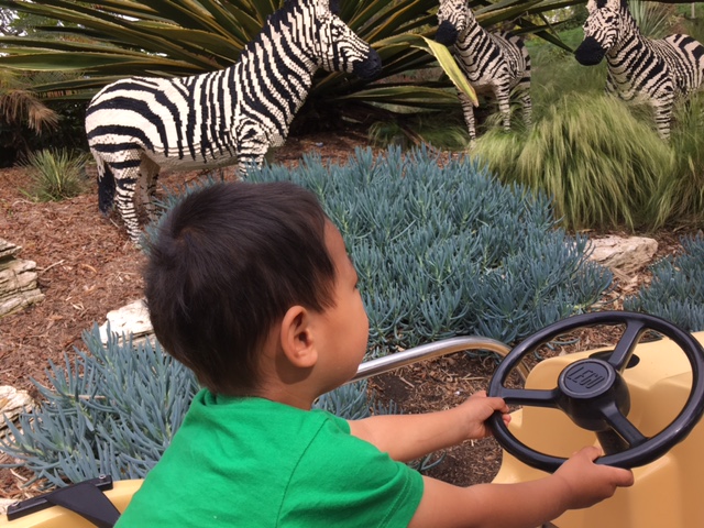 Edric was ready to drive the car....those zebras are all built out of legos