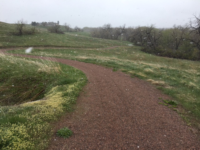 Snow/sleet/wind/nastiness