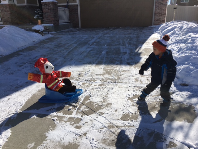 Big Brother Training....